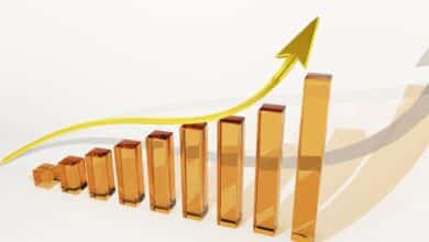Record Sports Betting Activity in Virginia