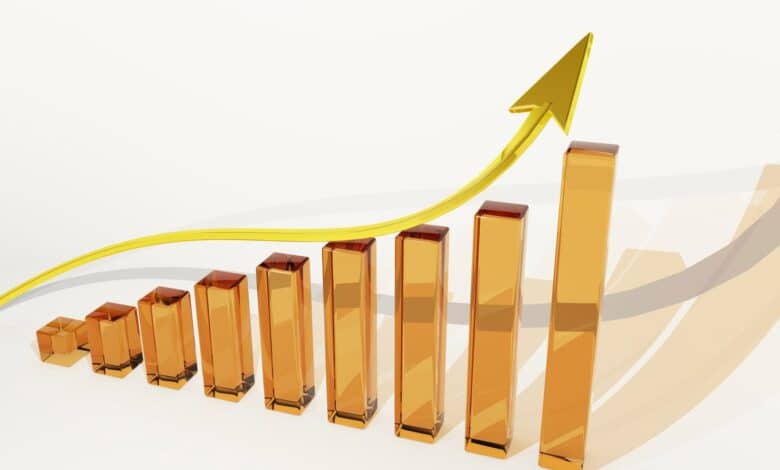 Record Sports Betting Activity in Virginia